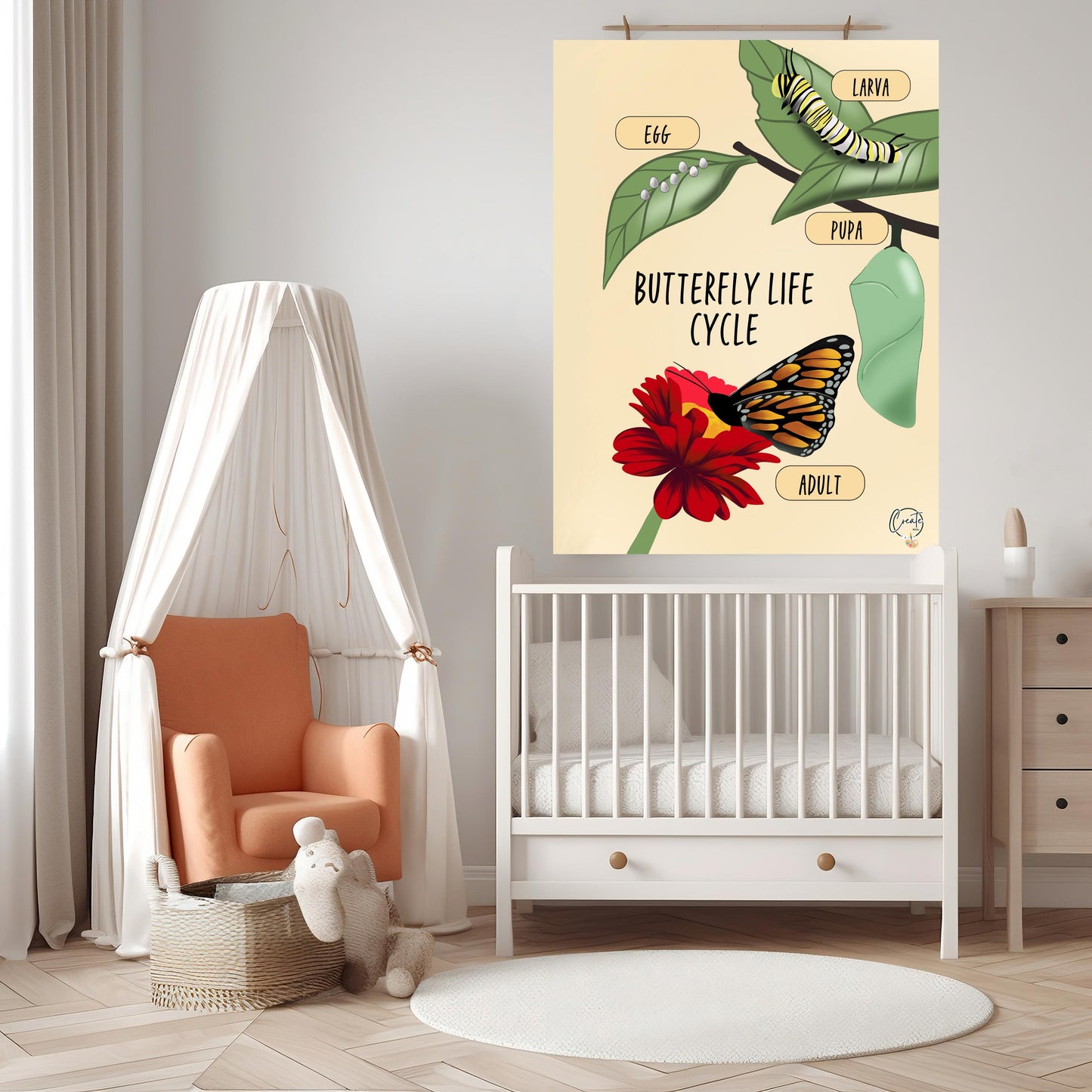 Printable Butterfly Cycle Diagram Educational Plant Anatomy Poster Botanical Science Wall Art Instant Download for Classroom