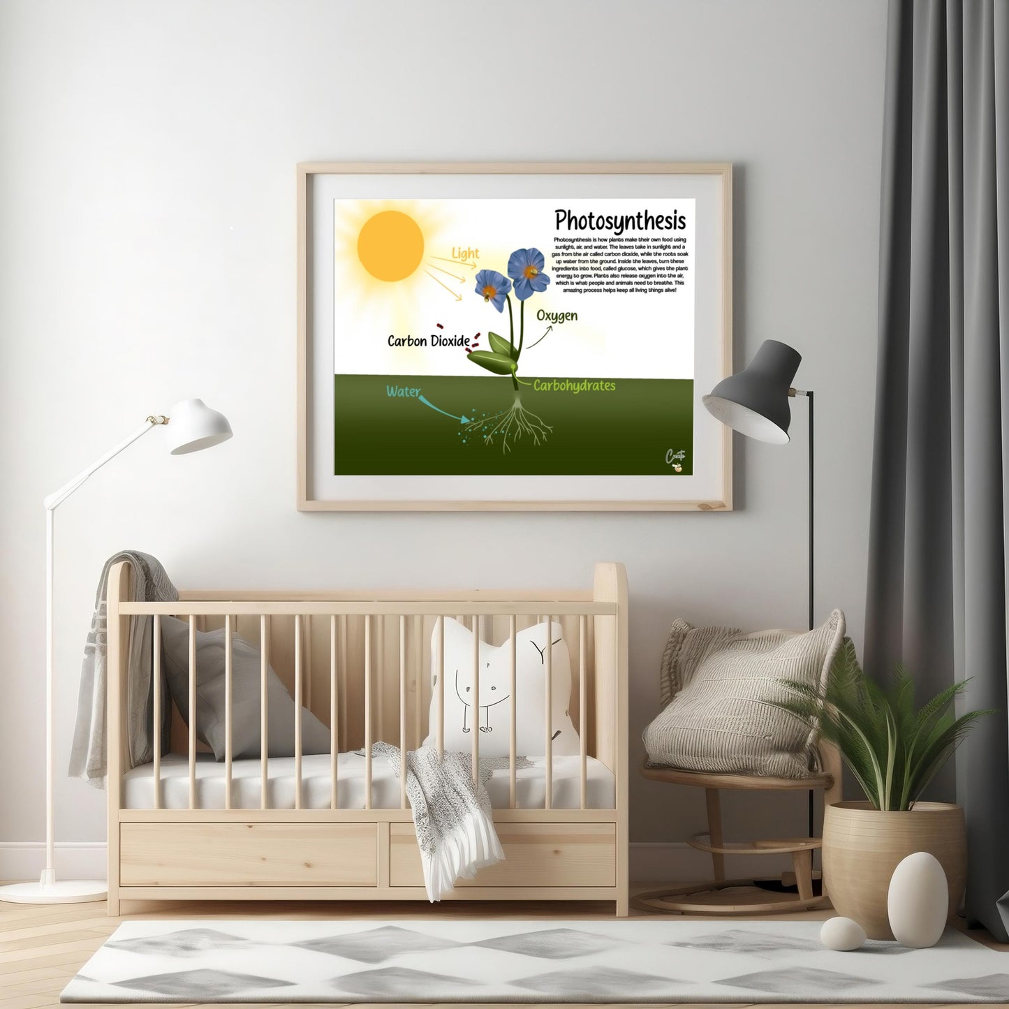 Printable Photosynthesis Diagram | Digital Educational Download | Kids Science Learning