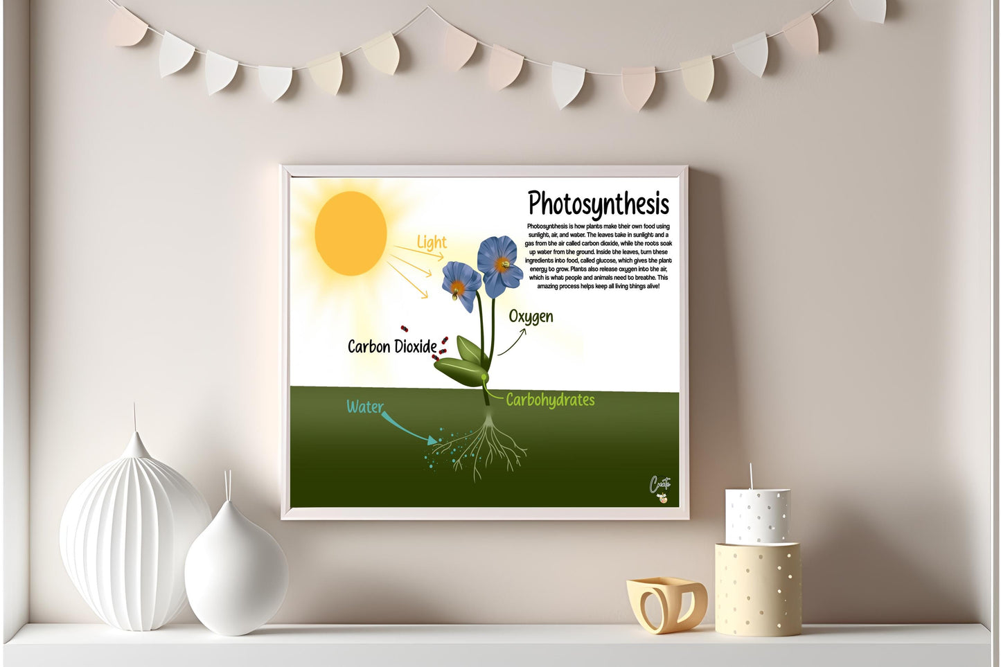 Printable Photosynthesis Diagram | Digital Educational Download | Kids Science Learning