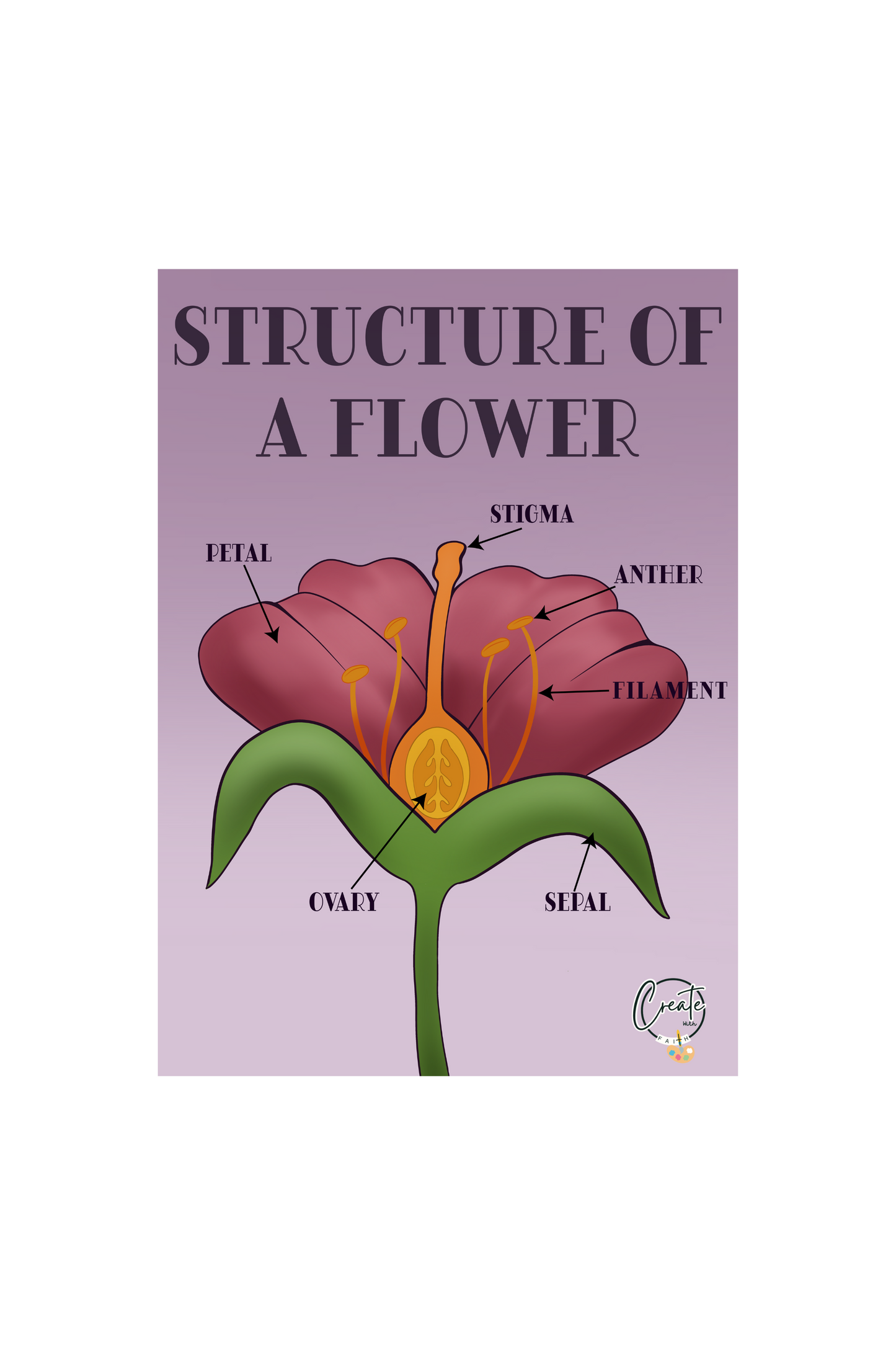Printable Flower Structure Diagram | Educational Plant Anatomy Digital Download | Kids Science Learning
