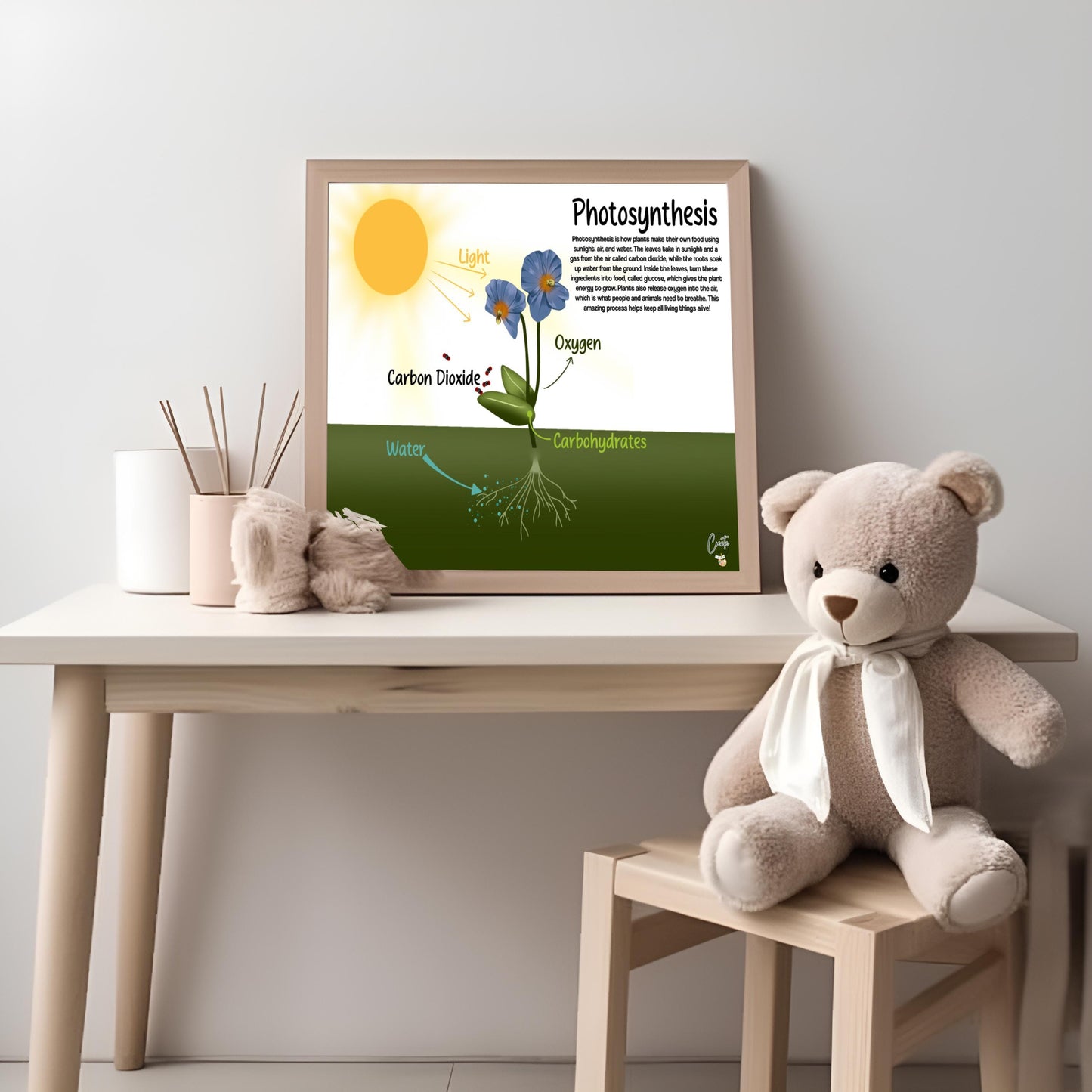 Printable Photosynthesis Diagram | Digital Educational Download | Kids Science Learning
